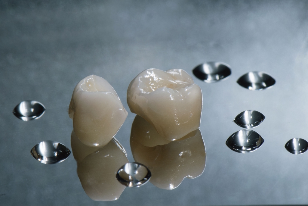 zirconia monolitica